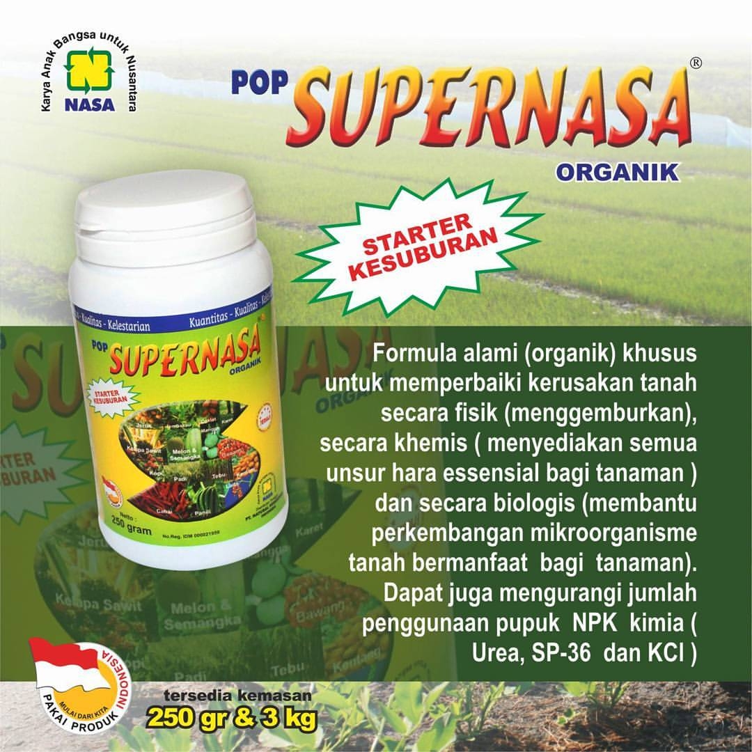SPRNASA POP Supernasa 2