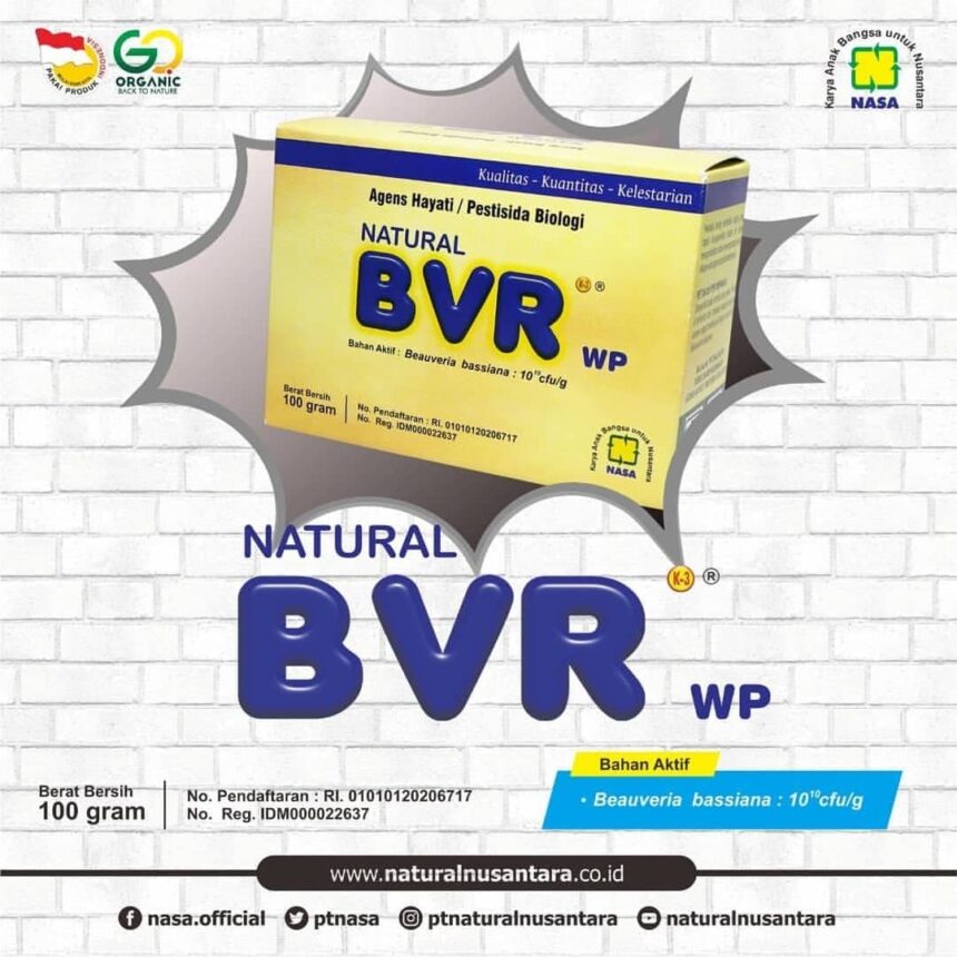 Inilah Keunggulan BVR WP NASA