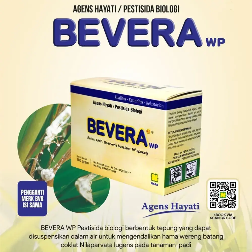 Gambar BEVERA WP Nasa