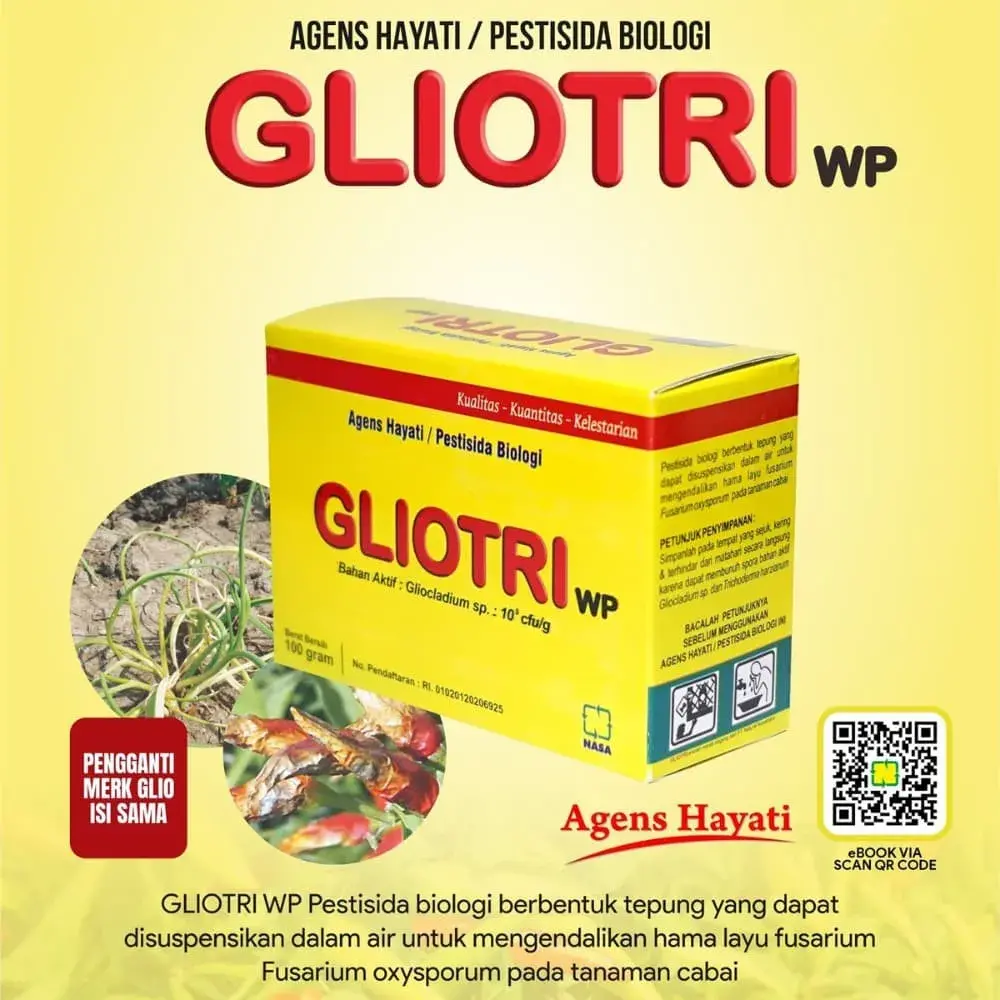 Gambar GLIOTRI WP Nasa