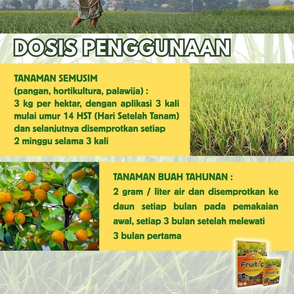DOSIS Penggunaan FRUITOP Asli Nasa