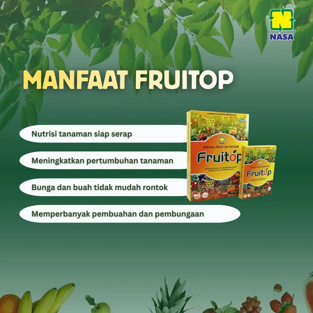 Manfaat FRUITOP Booster Buah NASA