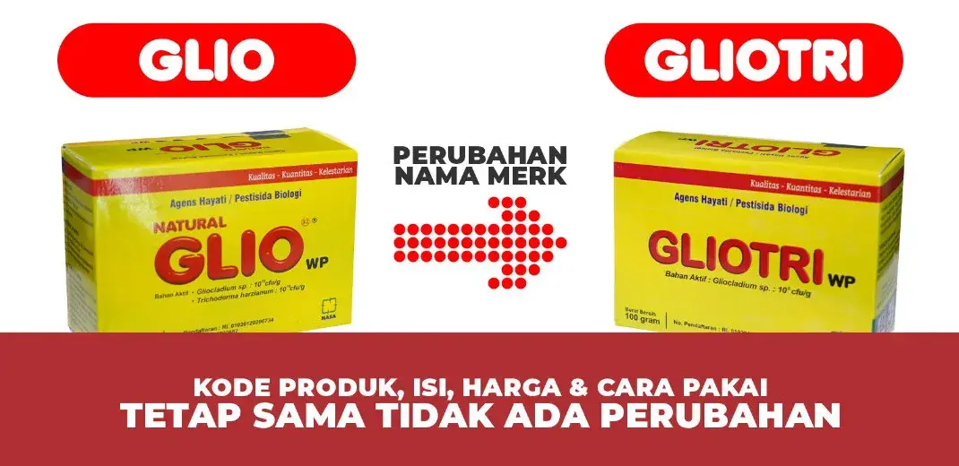 Perubahan Merek GLIO WP