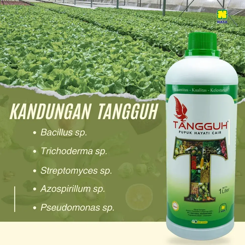 Kandungan TANGGUH Dekomposer Probiotik
