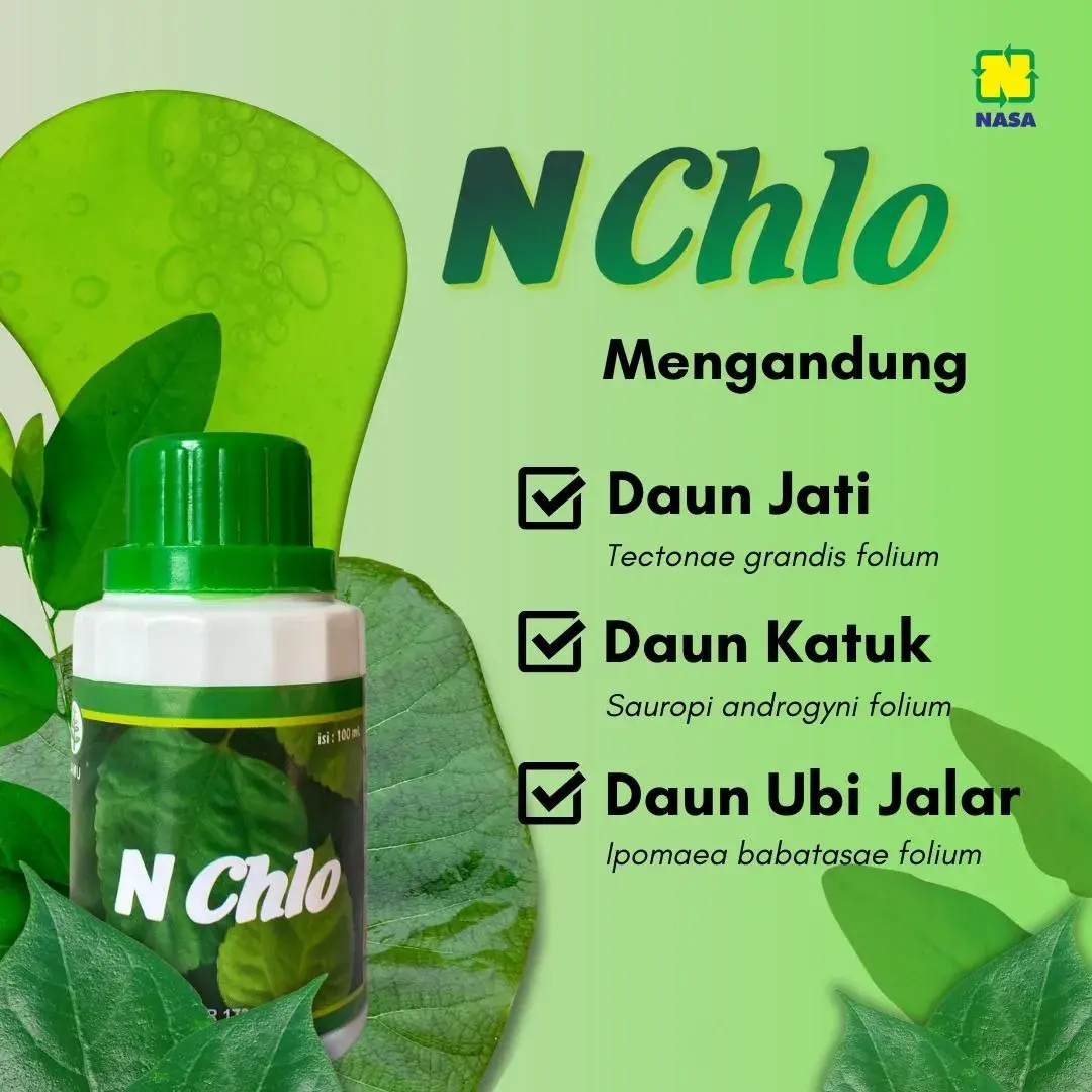 Kandungan NChlo Nasa